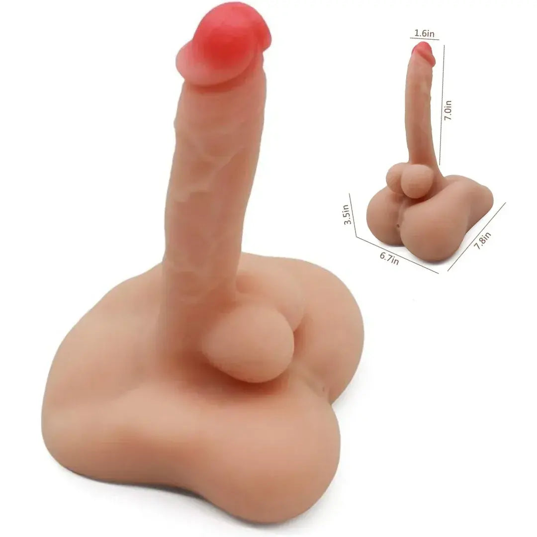 MEDIO TORSO PAUL
