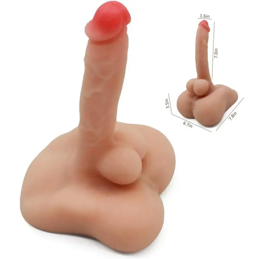 MEDIO TORSO PAUL