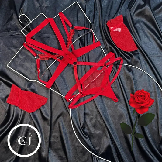 CONJUNTO ARNES PASSION